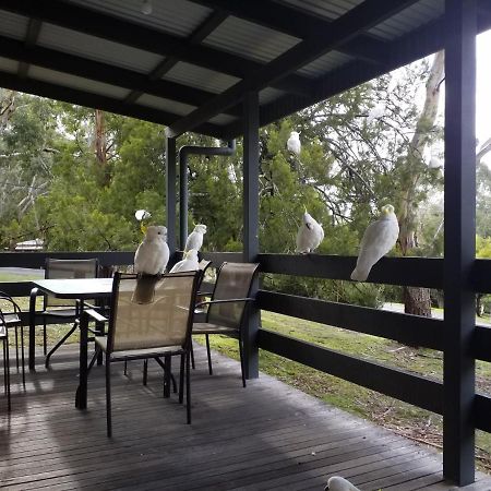 Cockatoo Cabin Halls Gap Eksteriør billede