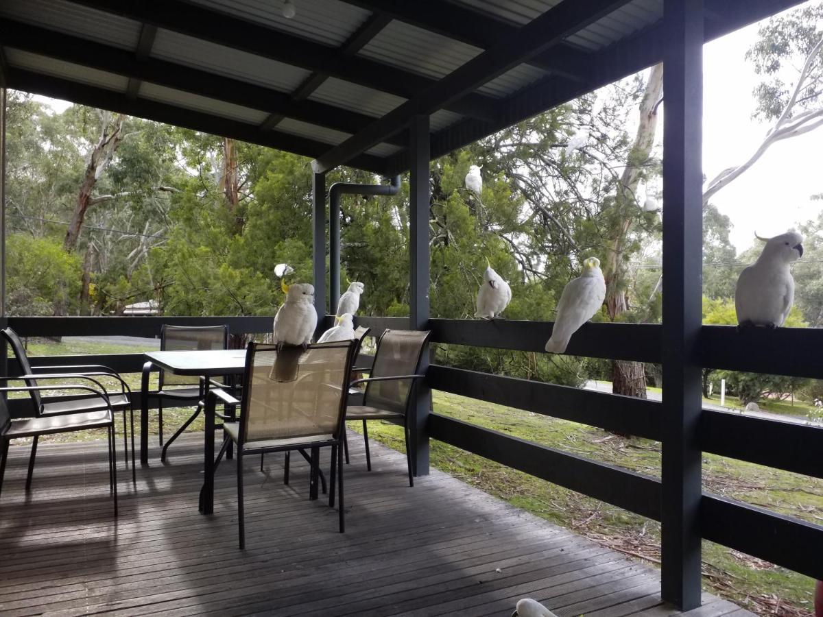 Cockatoo Cabin Halls Gap Eksteriør billede